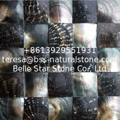 China Convex Surface Sea shell Wall Panel Black Butterfly Sea Shell Decorating Panel 60x60mm supplier