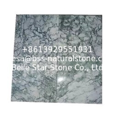 China Lotus Green Marble Tiles &amp; Slabs Green Marble Floor Tiles Green Marble Wall Covering Tiles supplier